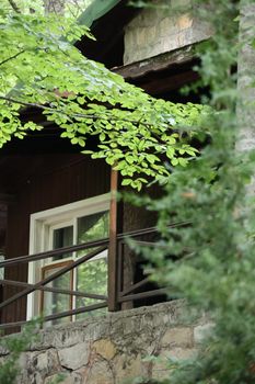Rustic cabin in a lush green forest, perfect for retreats and nature lovers.
