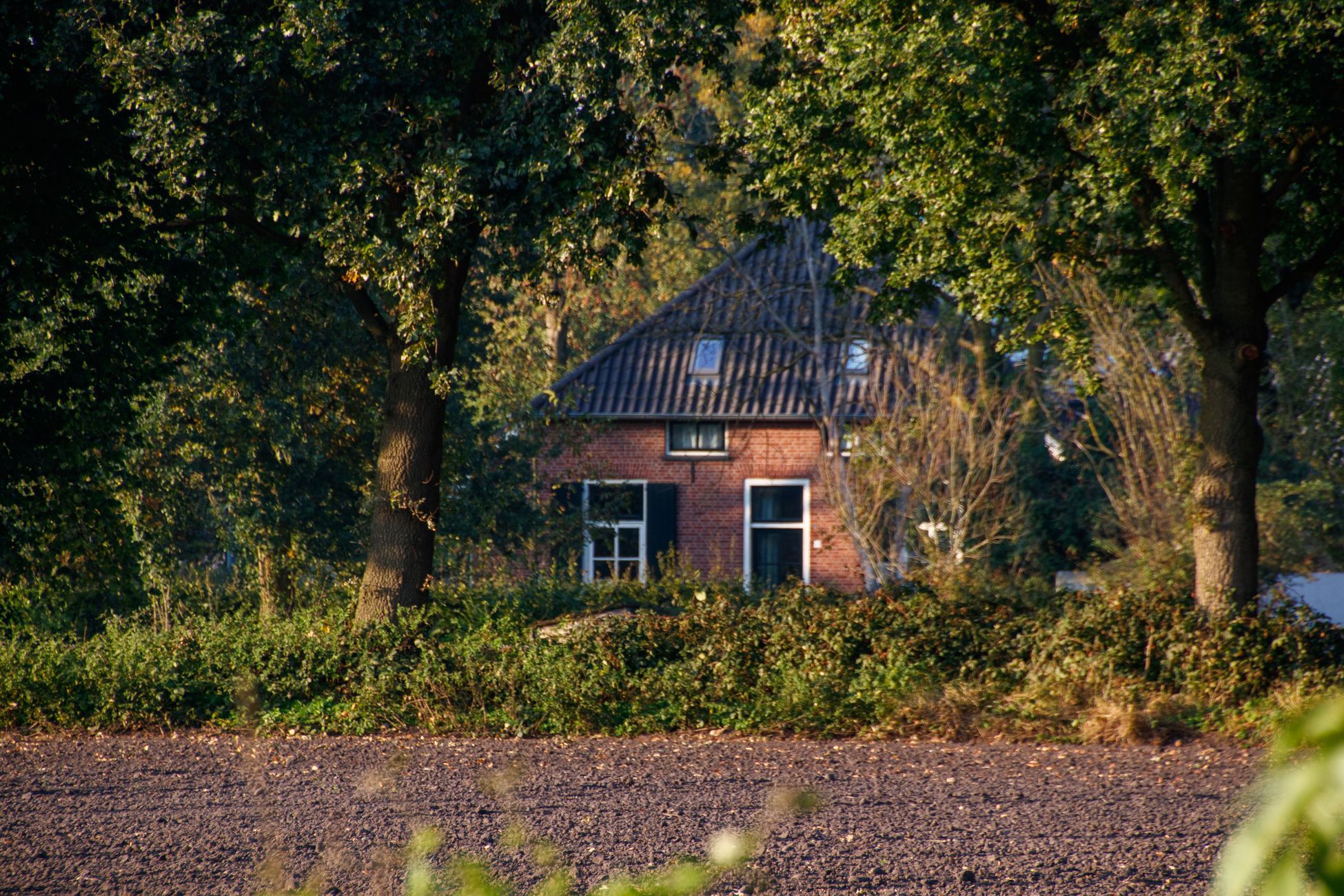 Daan Alferink deelt tips voor sfeervolle woning met klein budget