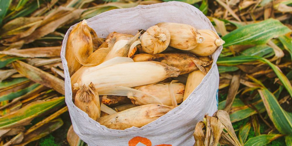 Khuyenmaizb368 - Khám Phá Khuyến Mãi 789BET Cực Hời Cho Bạn