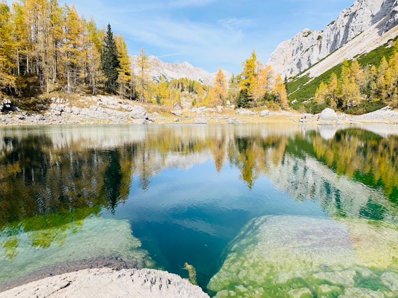 BJ's Restaurant & Brewhouse