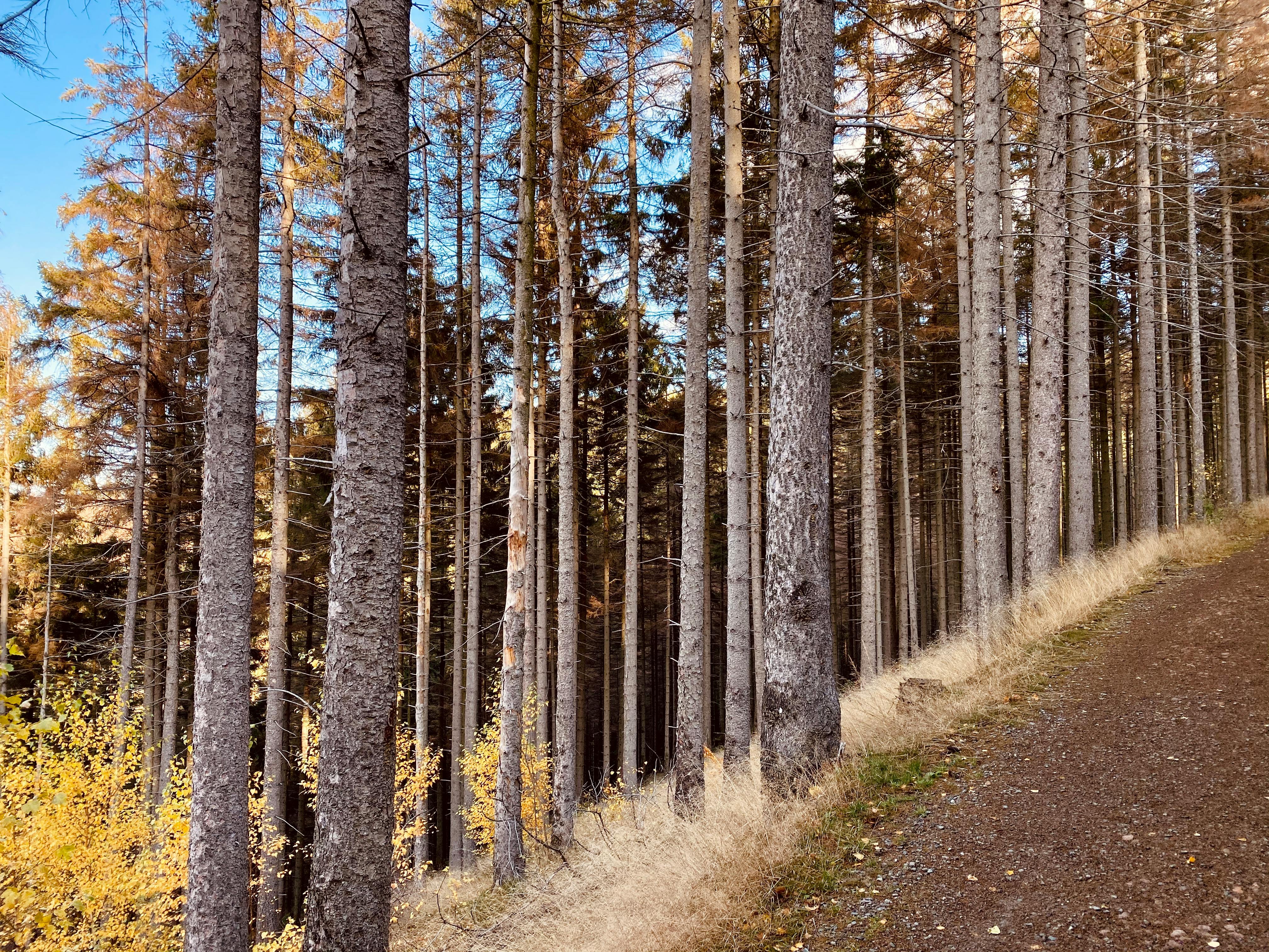 Кухня - Стало