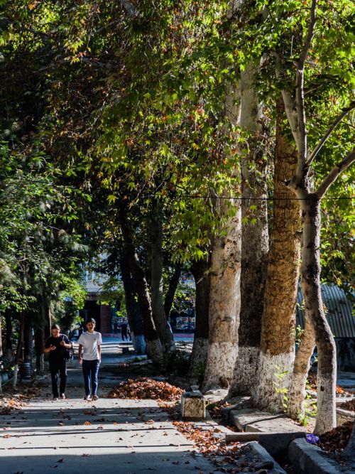 Free Two people enjoy a leisurely walk on a leafy pathway in Fergana during the fall. Stock Photo