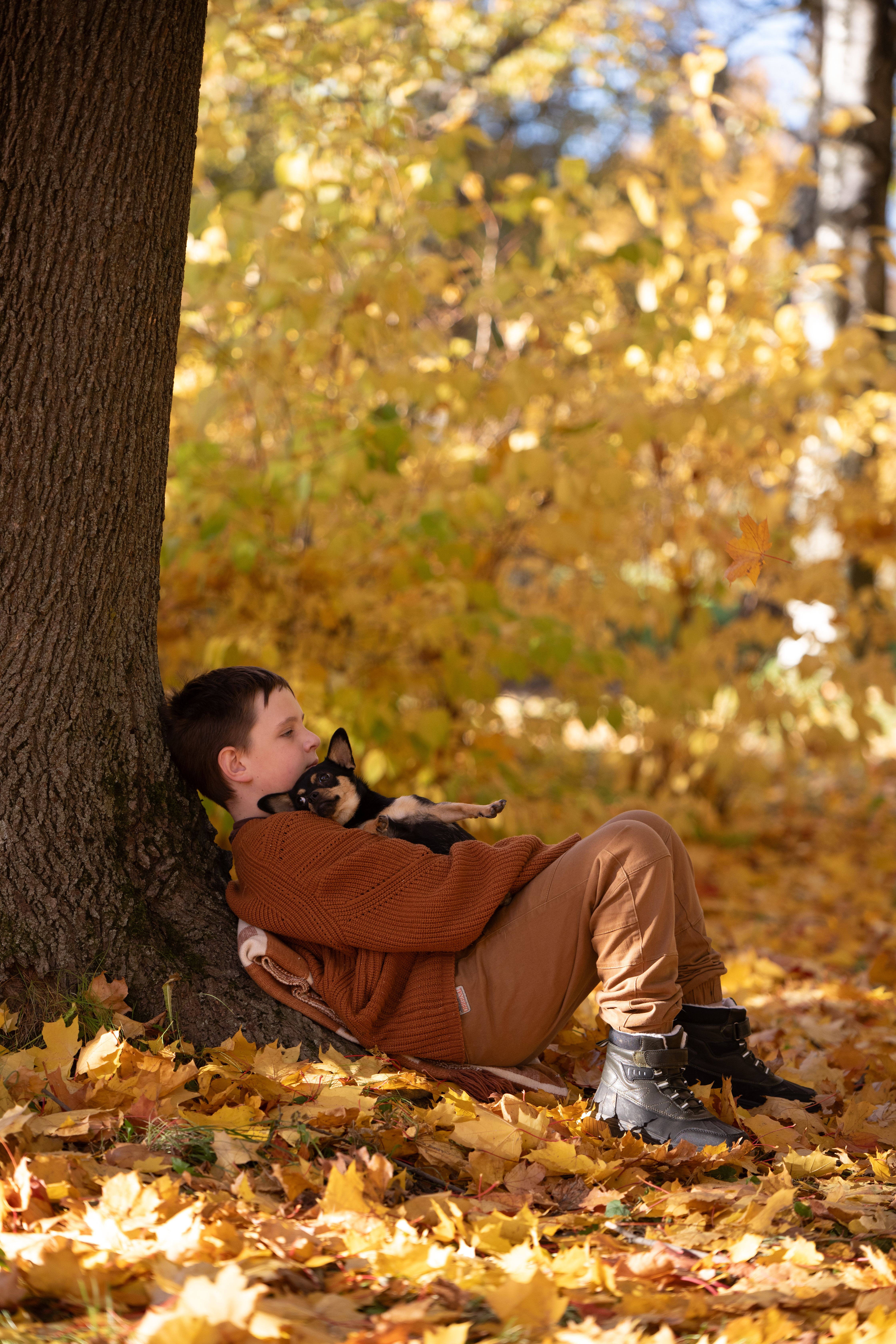 Foto de stock gratuita sobre actitud, adulto joven, al aire libre ...