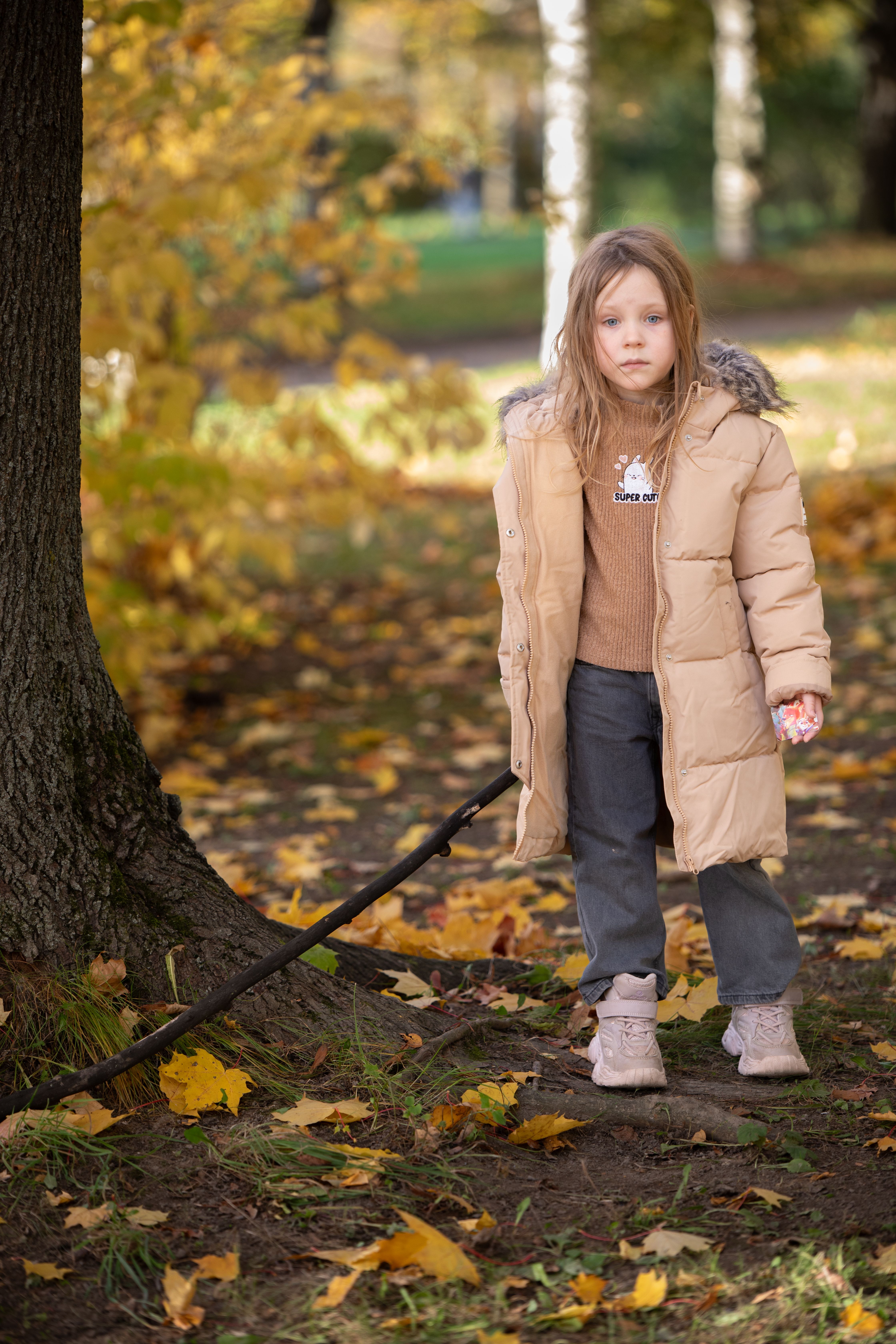 Portrait of a Child in Autumn Park · Free Stock Photo