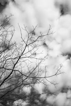 Image by Fatih Berat Örer