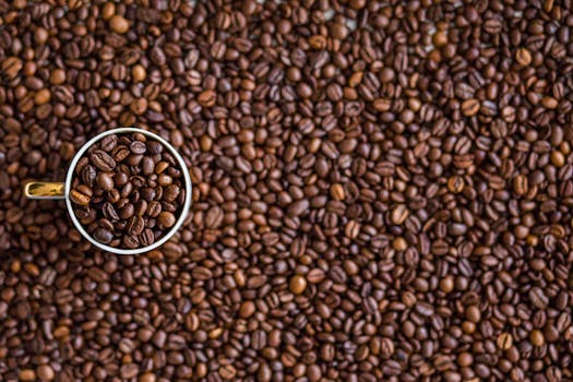 A top-down view of a coffee cup filled with coffee beans on a rustic coffee bean background.