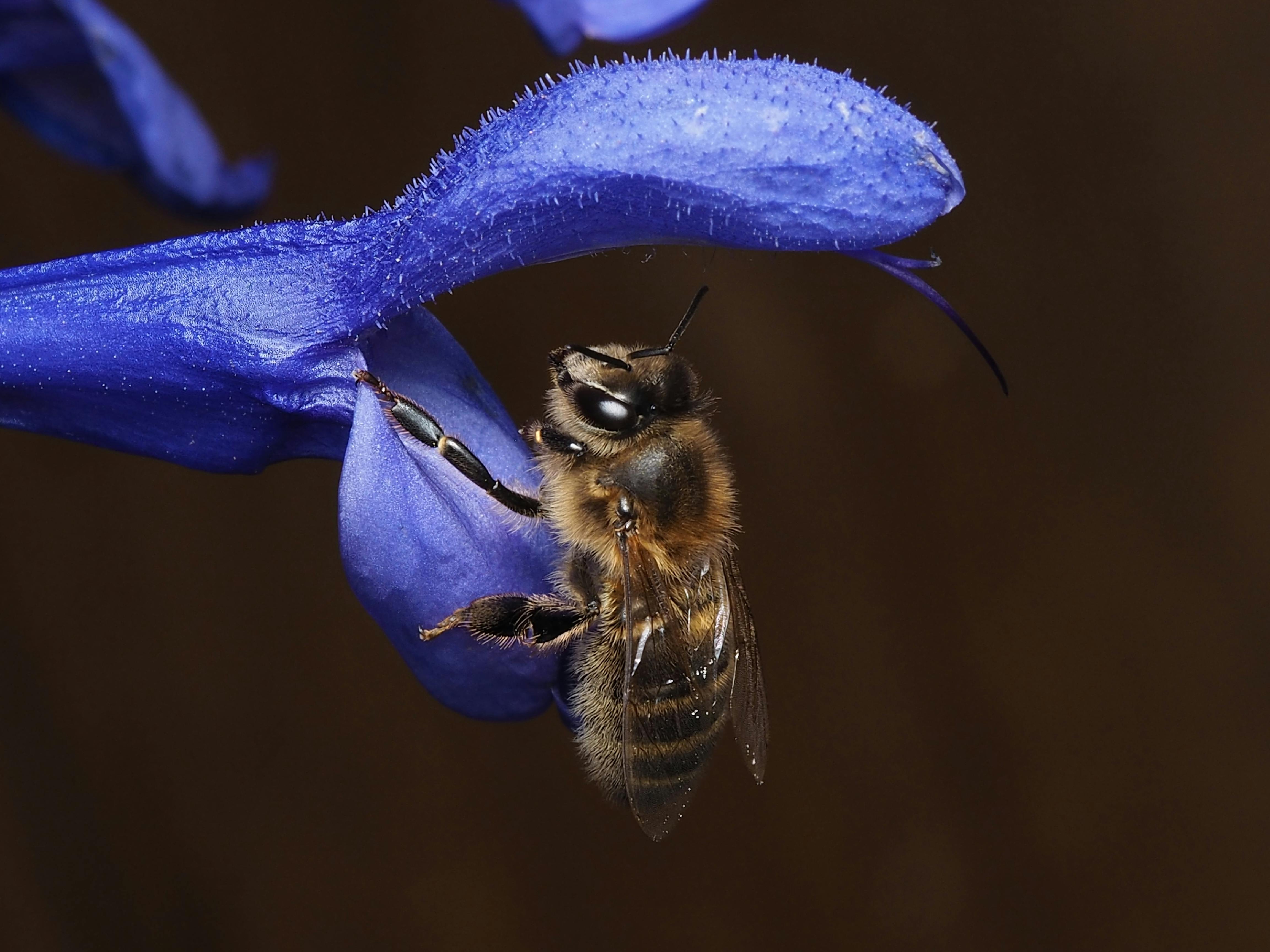 Ark Valley Civics Bee Competition to Send Three Local Students to State — Photo by Ali Goode on Pexels