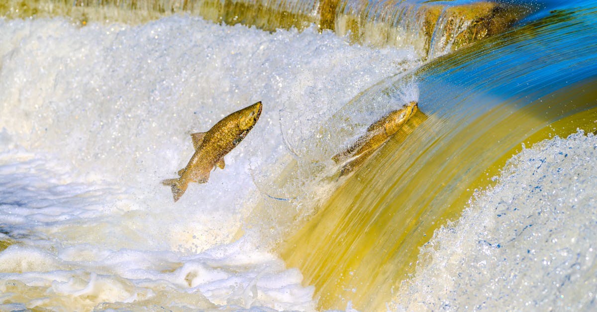 捷克夜店馬戲團《奔跑者》隱喻現代生活節奏加速