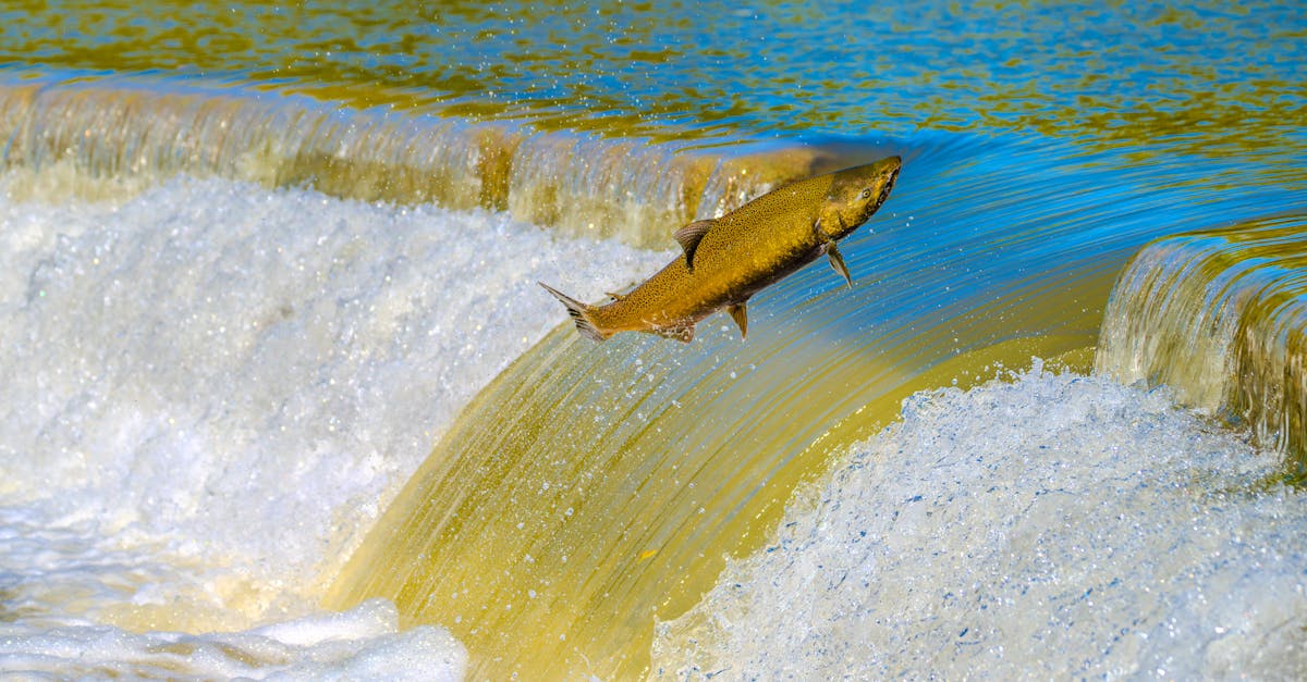 捷克夜店馬戲團《奔跑者》隱喻現代生活節奏加速