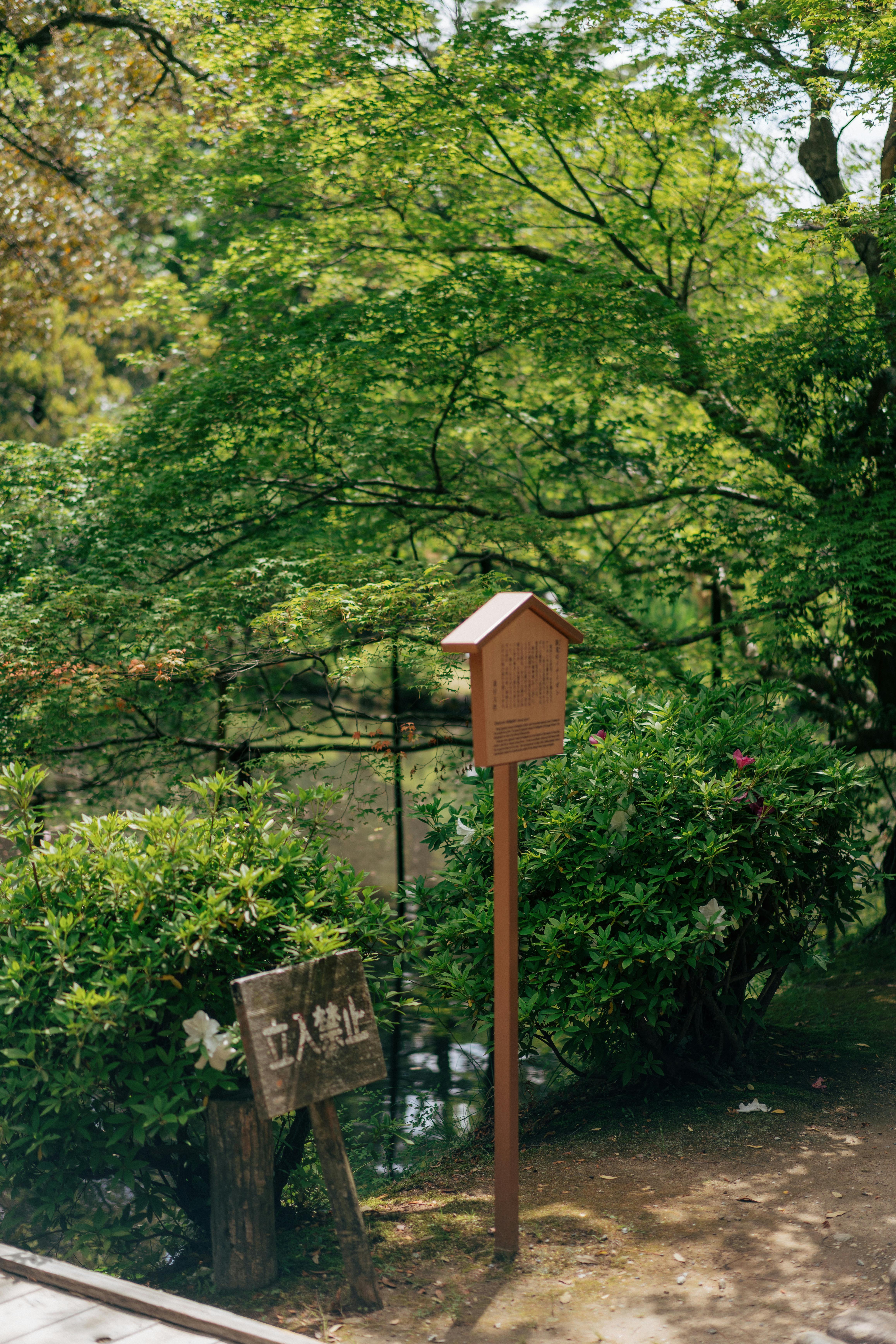 Kostnadsfria Lugn japansk trädgårdsscen med frodig grönska och träskyltar. Stock foto