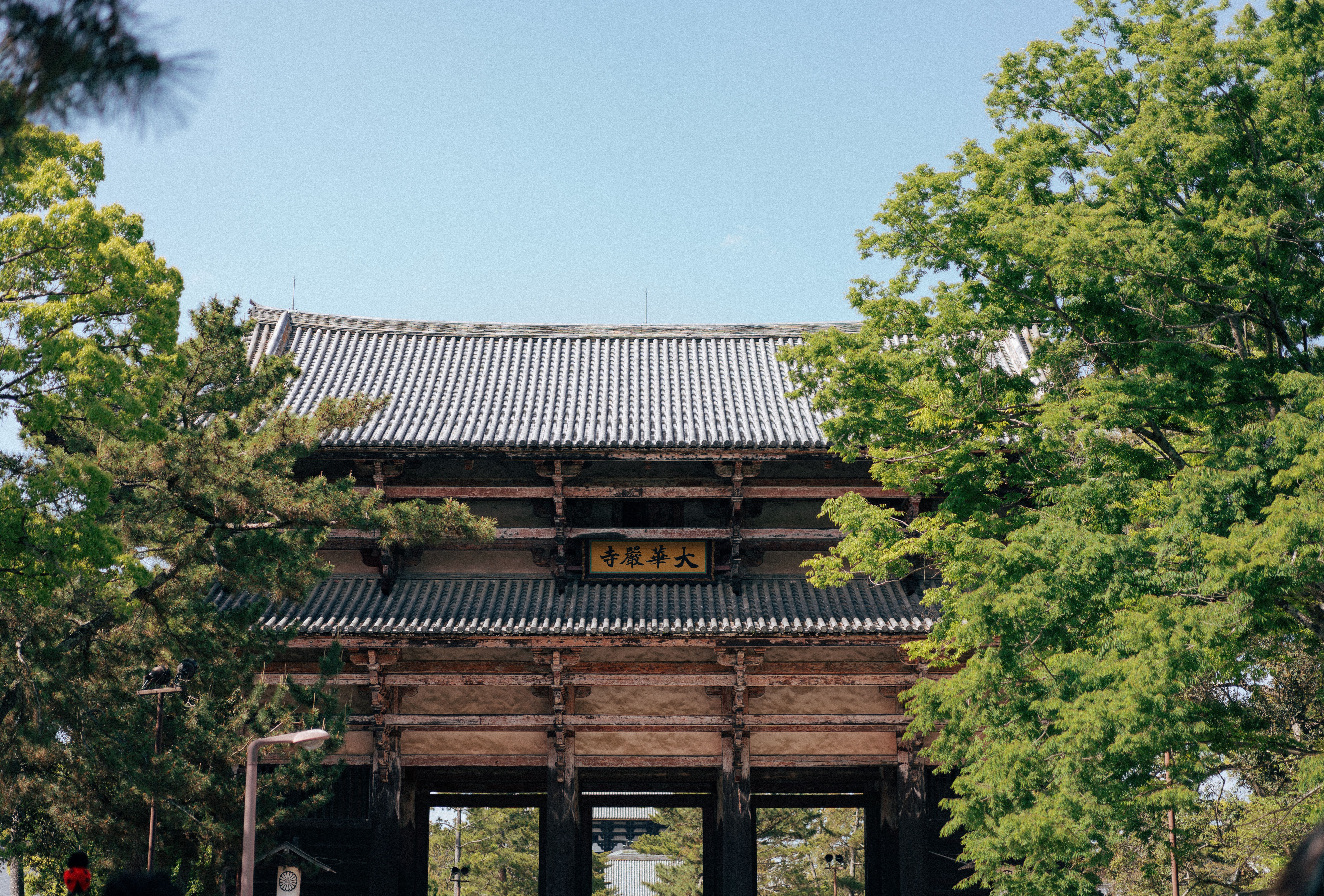 Museums & attractions in Todai-ji Temple