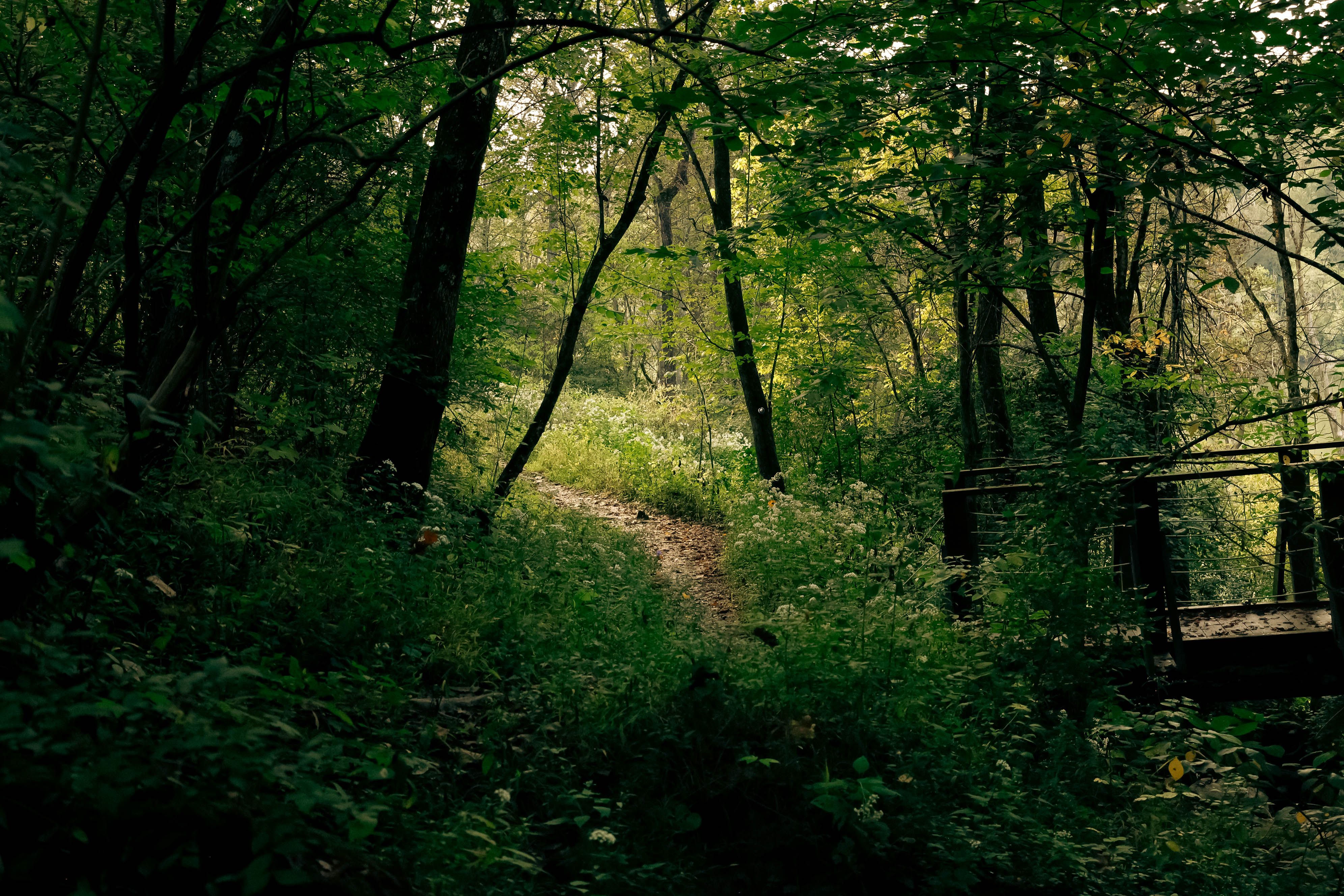 Walk the loop at Smith Nature Park