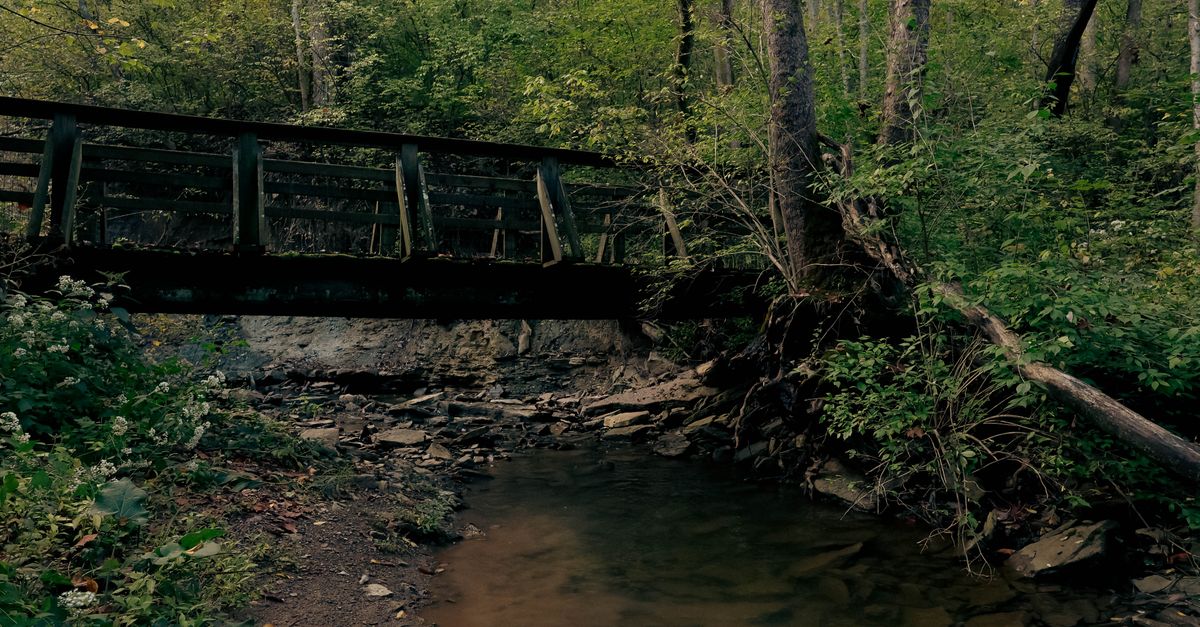 Quiet wooden bridge over a creek in a forested area