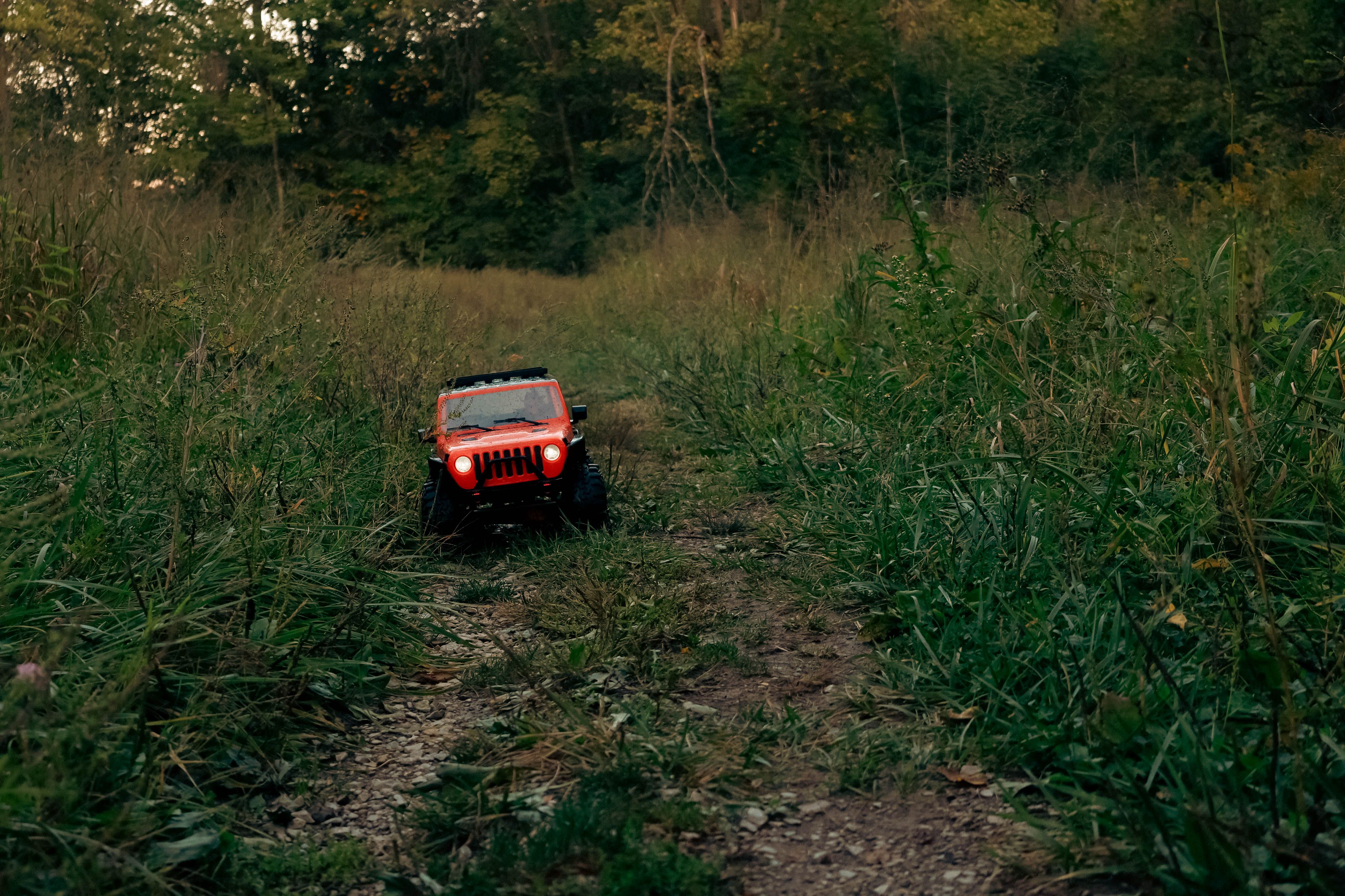 Red RC Car on a Forest Trail at Dusk · Free Stock Photo