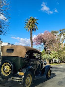 A vintage car parked on a sunny street with palm trees and spring blossoms.