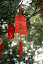 Red Chinese Hanging Decoration in a Tree