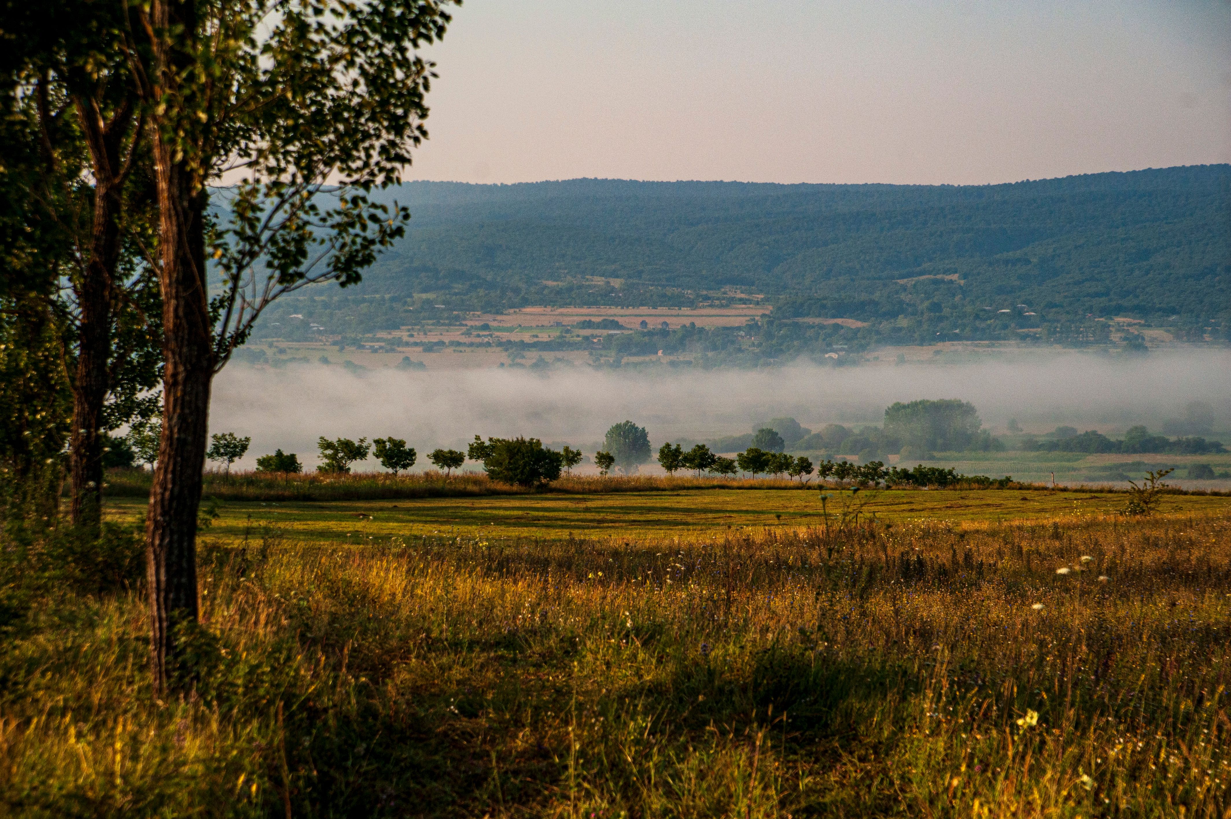 Misty Morning Landscape in Georgia Countryside · Free Stock Photo