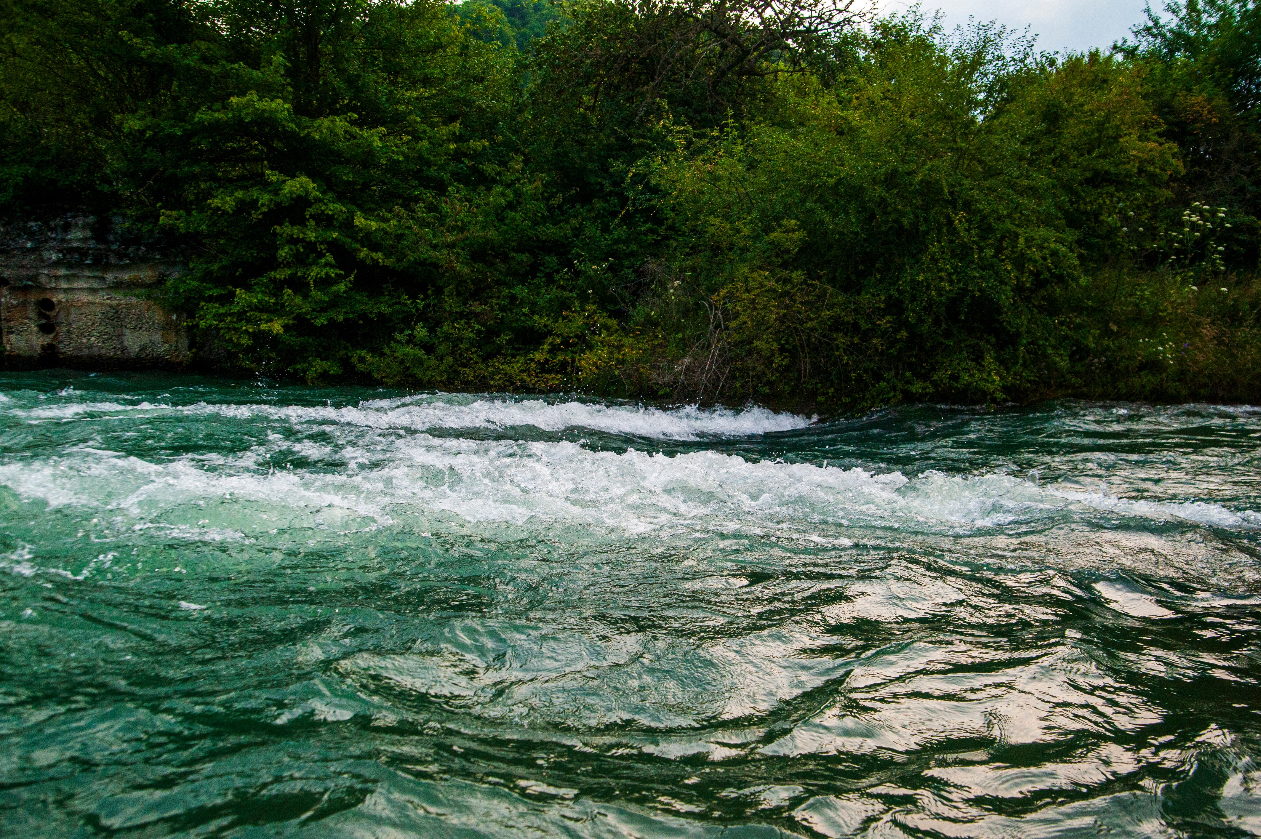 Rushing River in Lush Georgian Landscape · Free Stock Photo