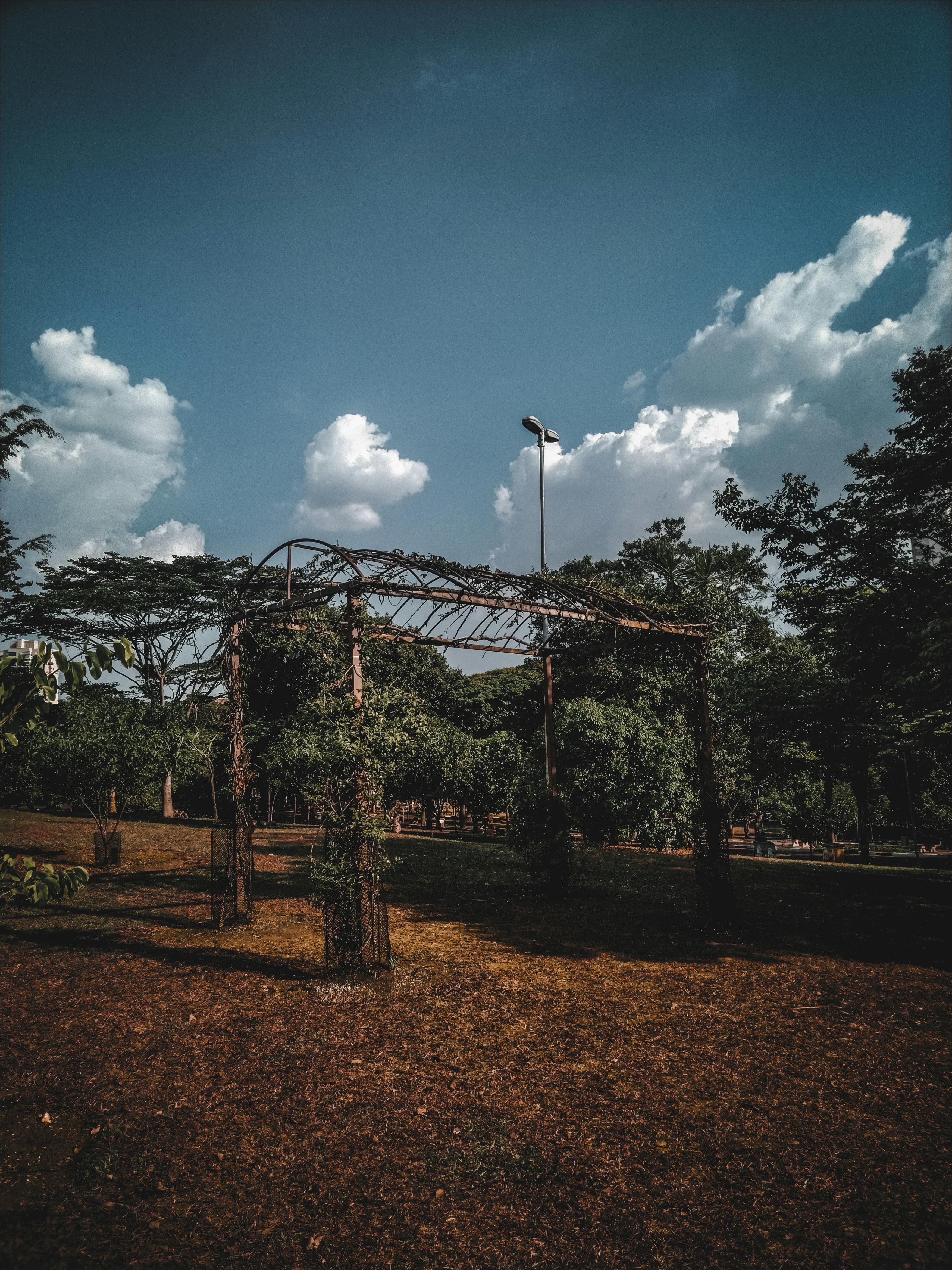 Mountain gorge winter canyon