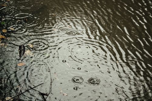 Free Close-up of raindrops creating ripples on a pond in İstanbul, Türkiye. Stock Photo