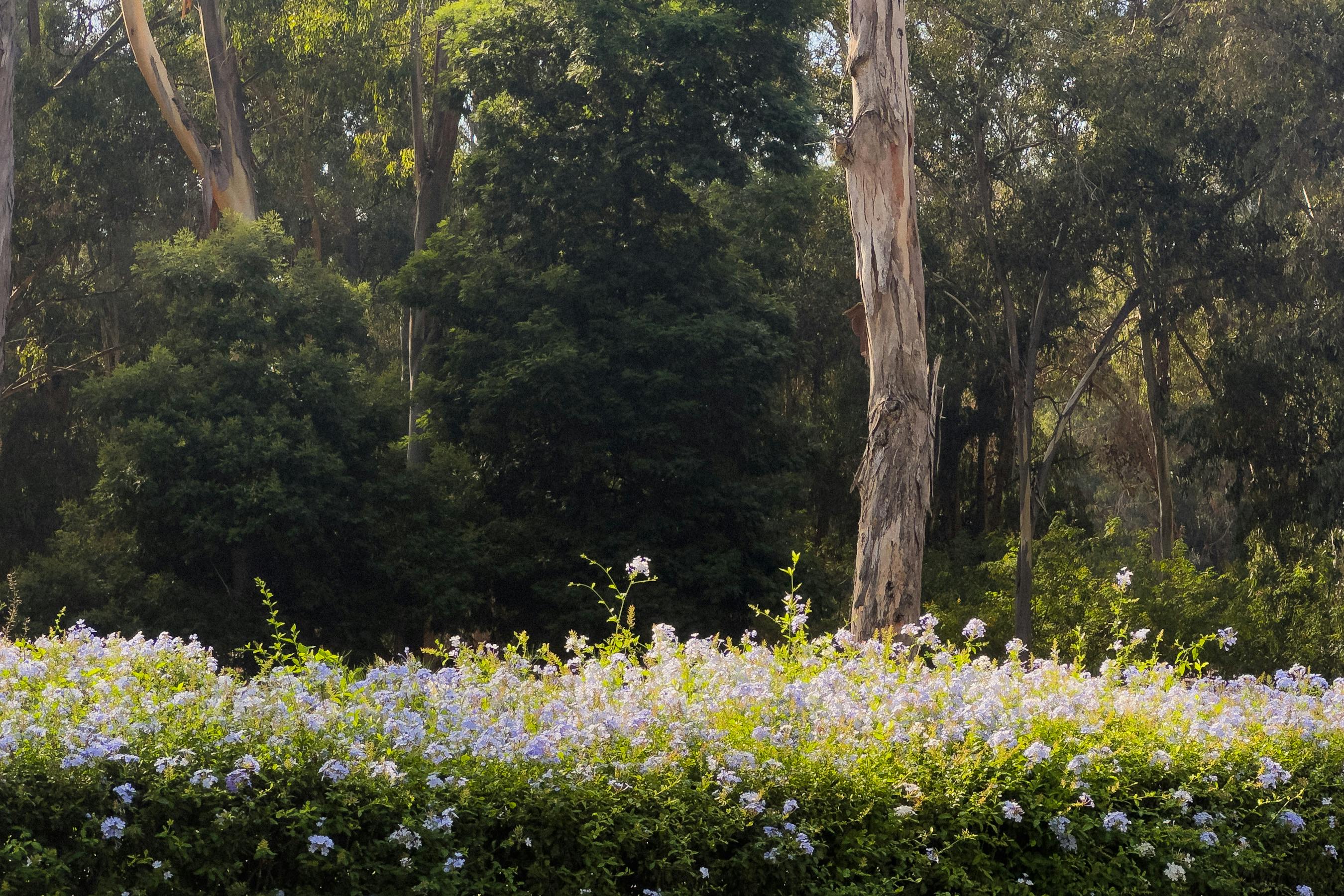 政治：前鎮親水公園弊案疑雲 藍營議員指控原民會包庇不作為