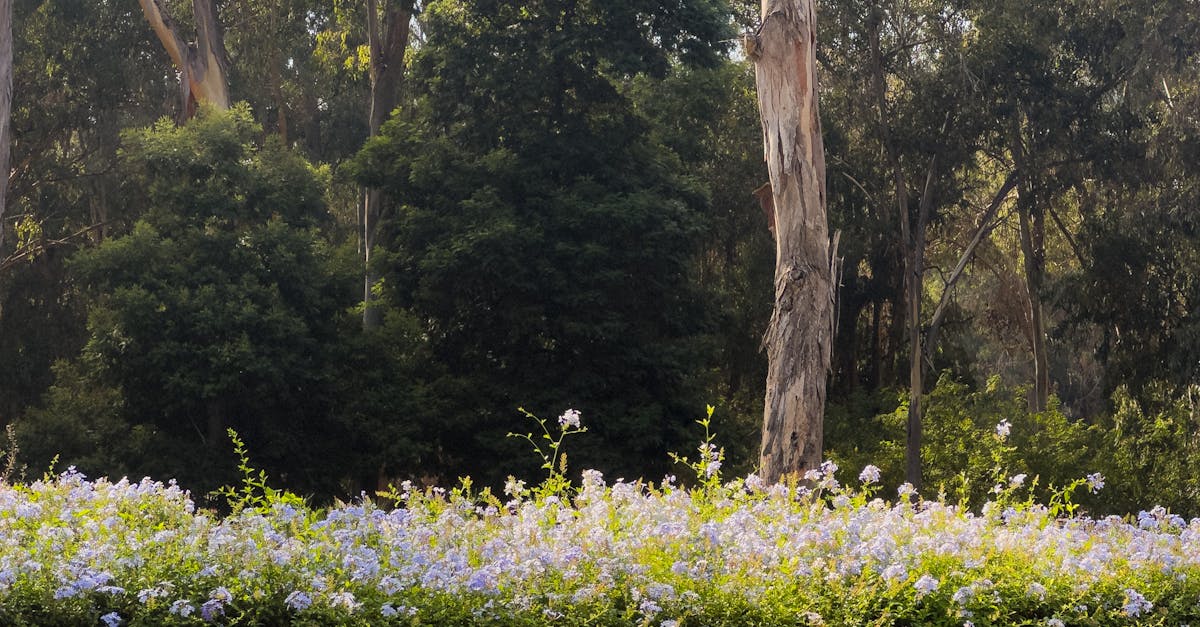 政治:前鎮親水公園弊案疑雲 藍營議員指控原民會包庇不作為