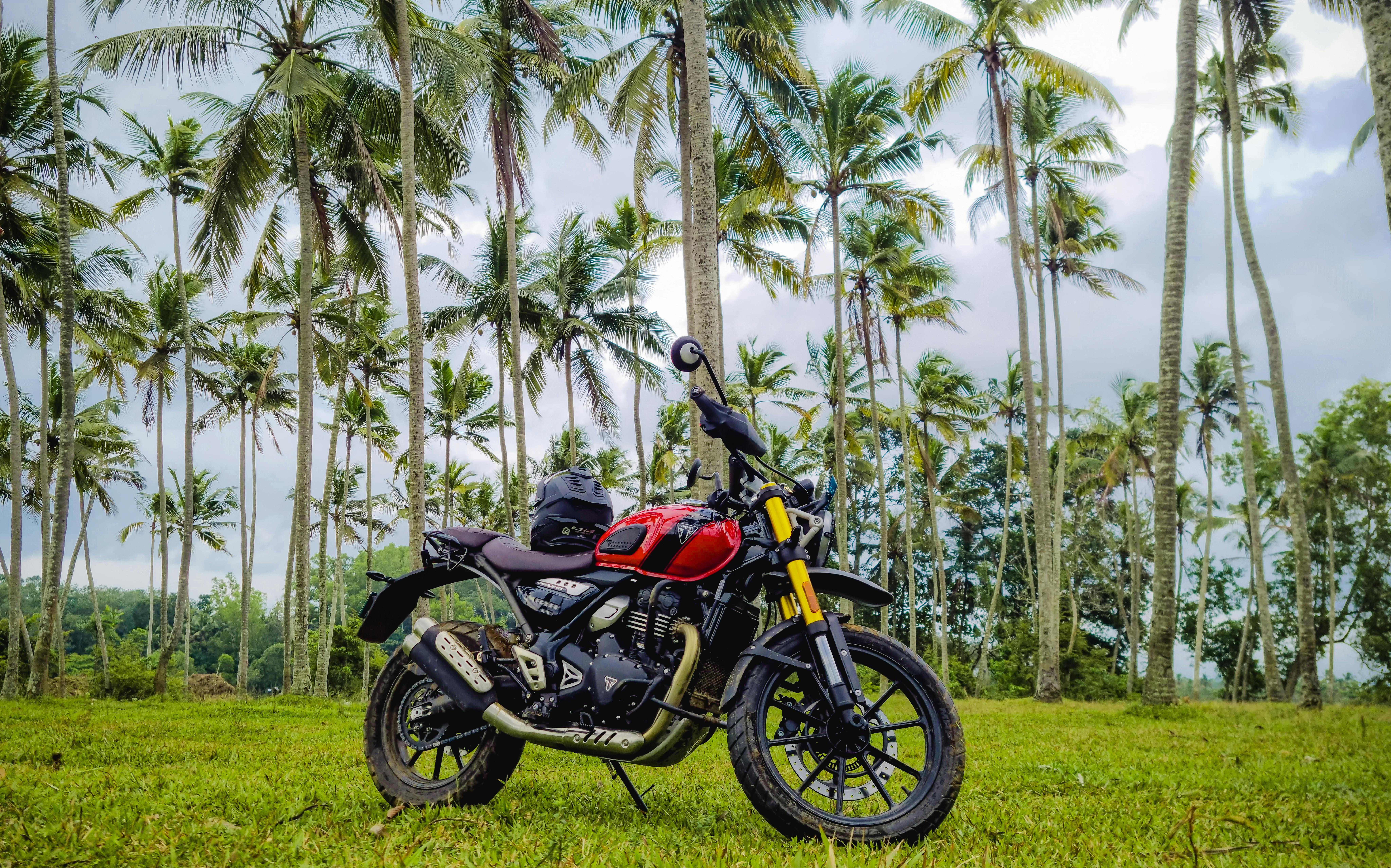 Eco-Friendly Vacation Ideas for Sustainable Travel