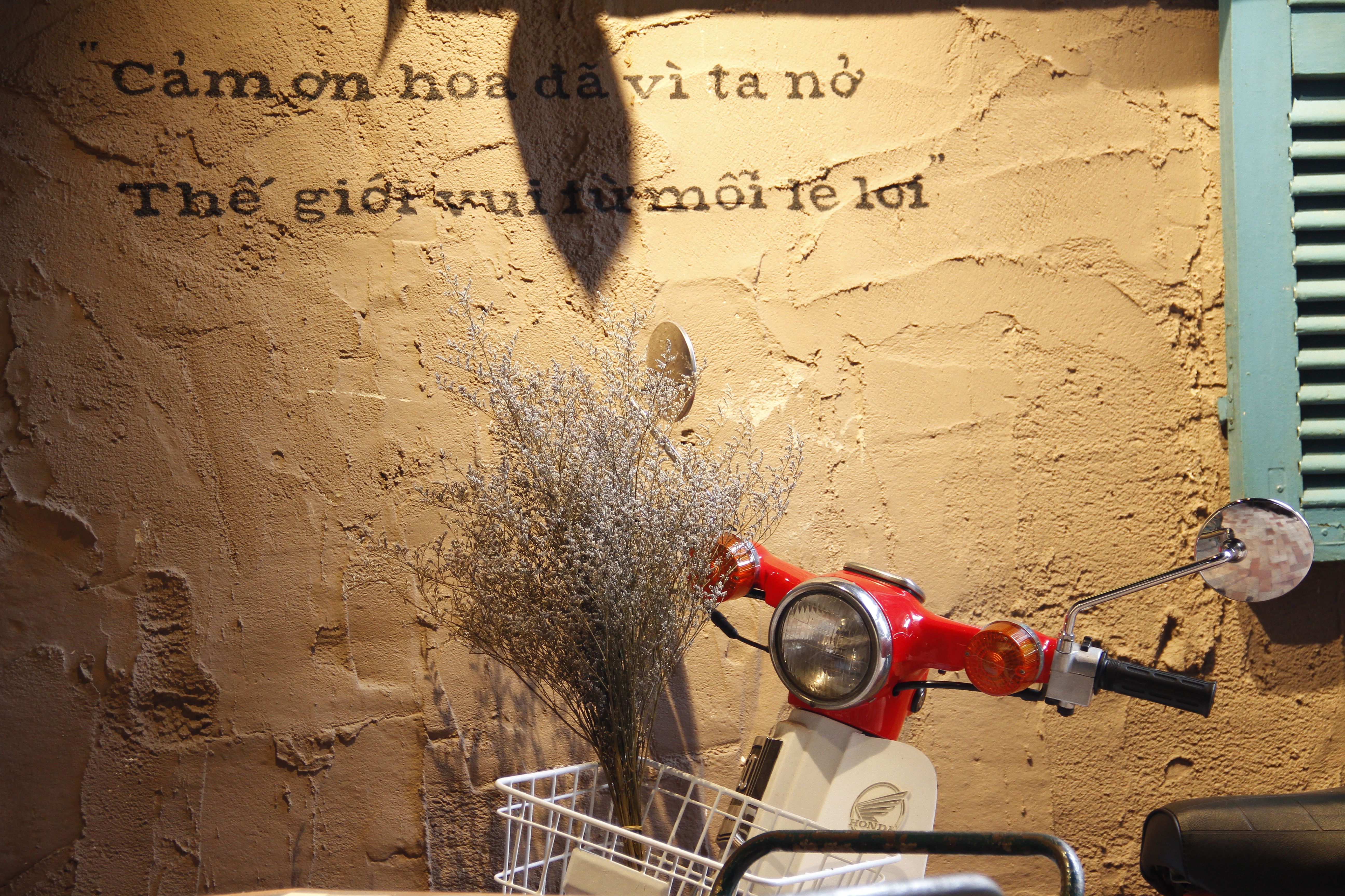 A vintage scooter rests against a rustic wall with dried flowers in a basket.