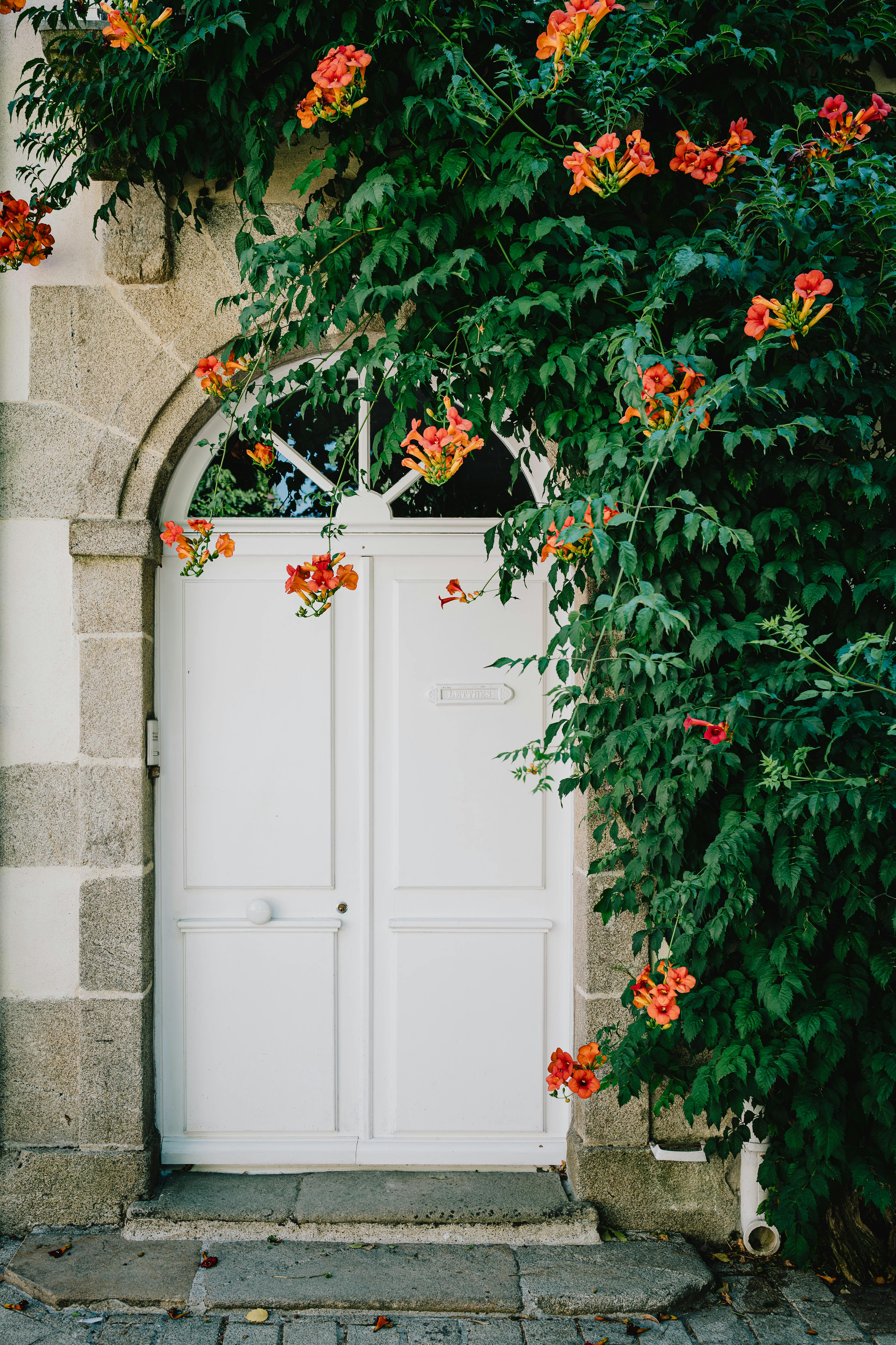 Planta Potabilizadora De Chilibre: ¿Cómo Mejora Nuestro Agua? 2 ¿Cómo Funciona la Planta Potabilizadora de Chilibre? Un Vistazo Detallado a su Proceso de Purificación