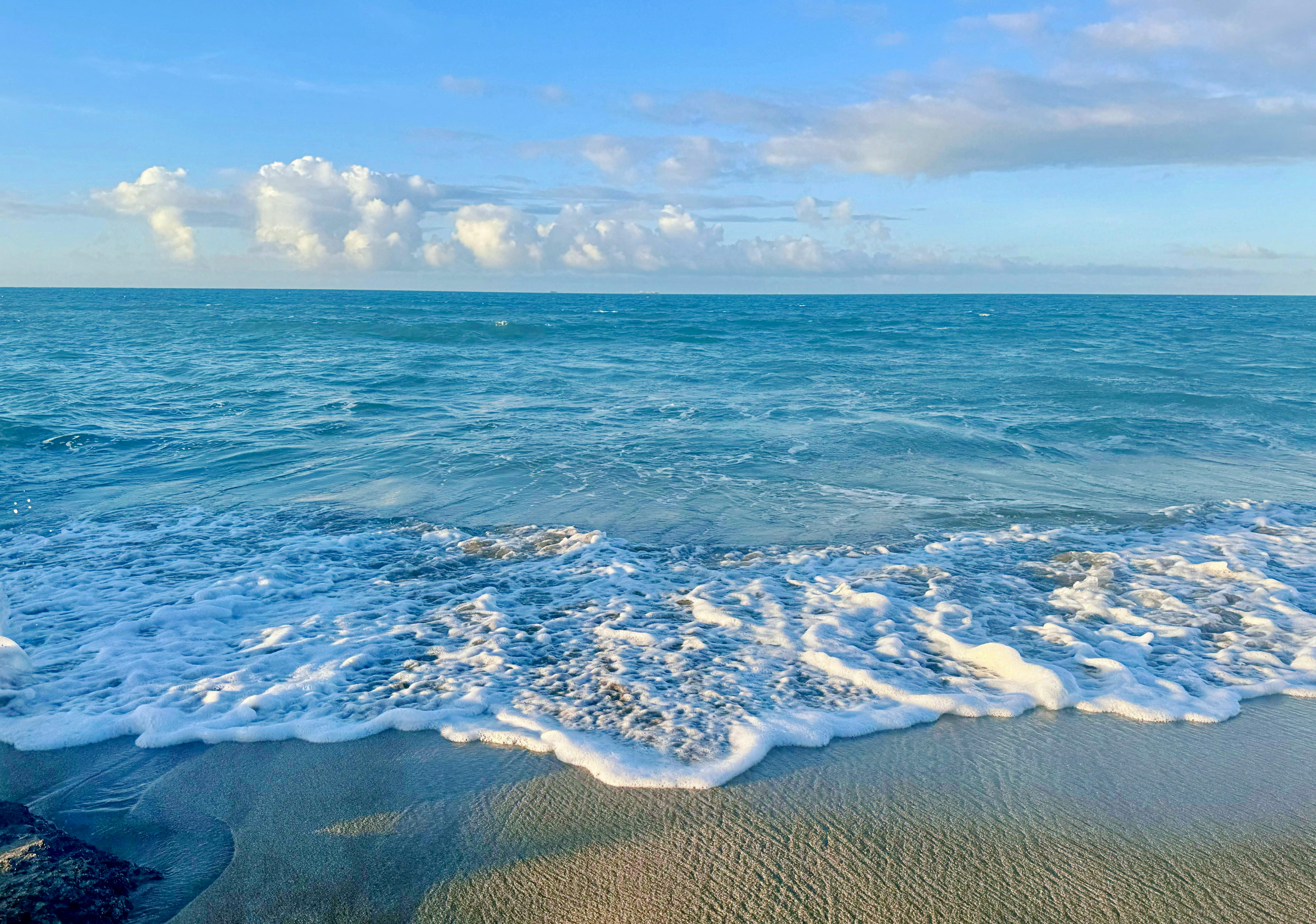 政治：「想想論壇」改版再出發 蔡英文號召共謀台灣未來