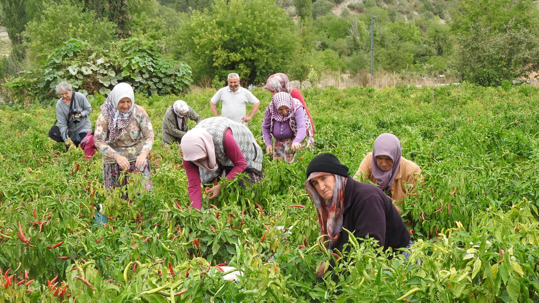 Anadolu'da kültürel miras koruma projeleri örnekleri Anadolu'da kültürel miras koruma projeleri örnekleri