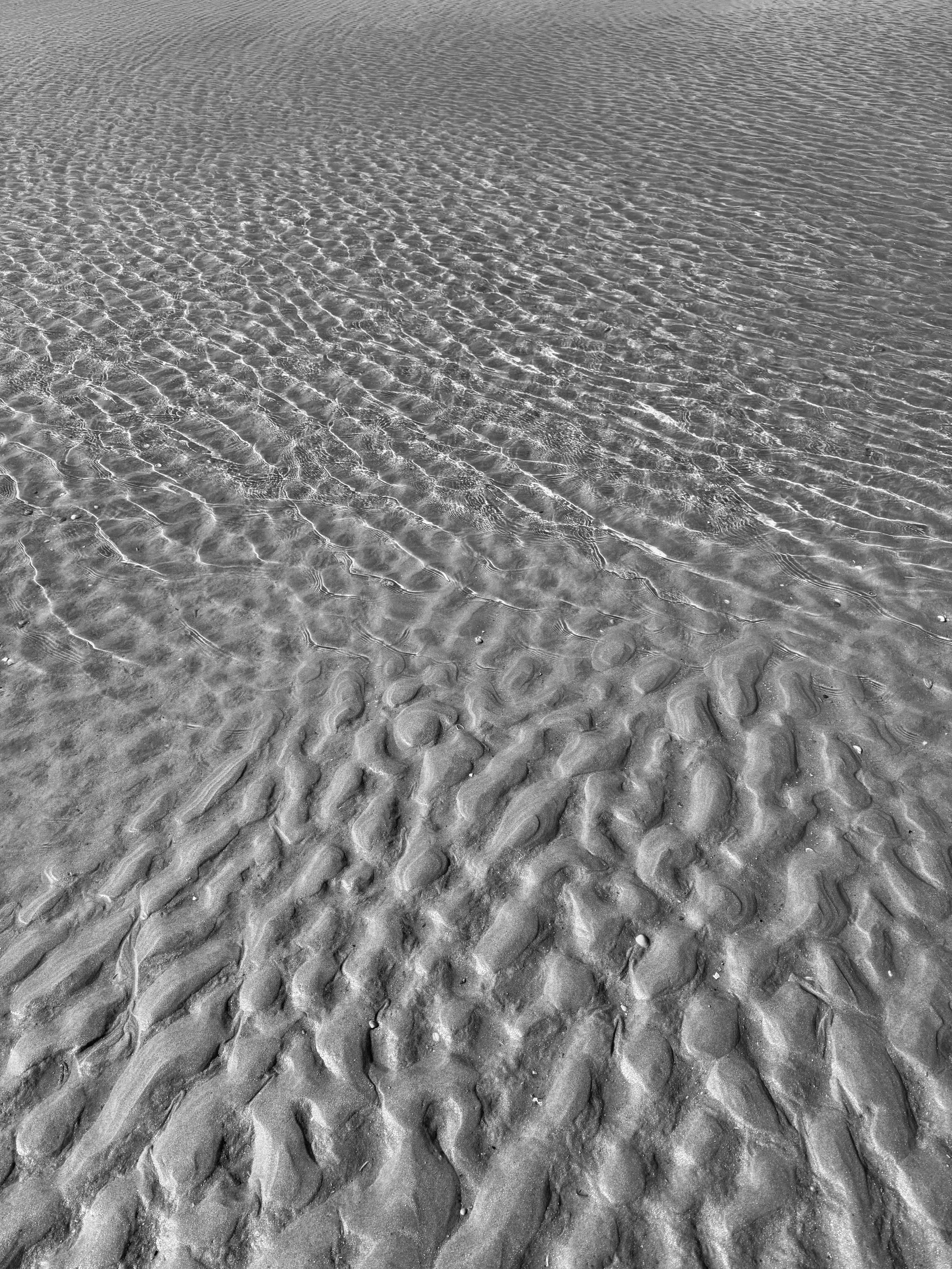 Serene Sand Ripples on a Beach Shore · Free Stock Photo