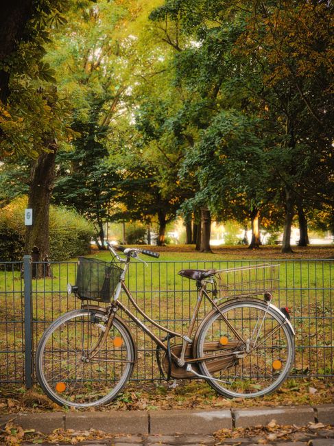 A classic bicycle against autumn foliage in a Berlin park. Serene and timeless.