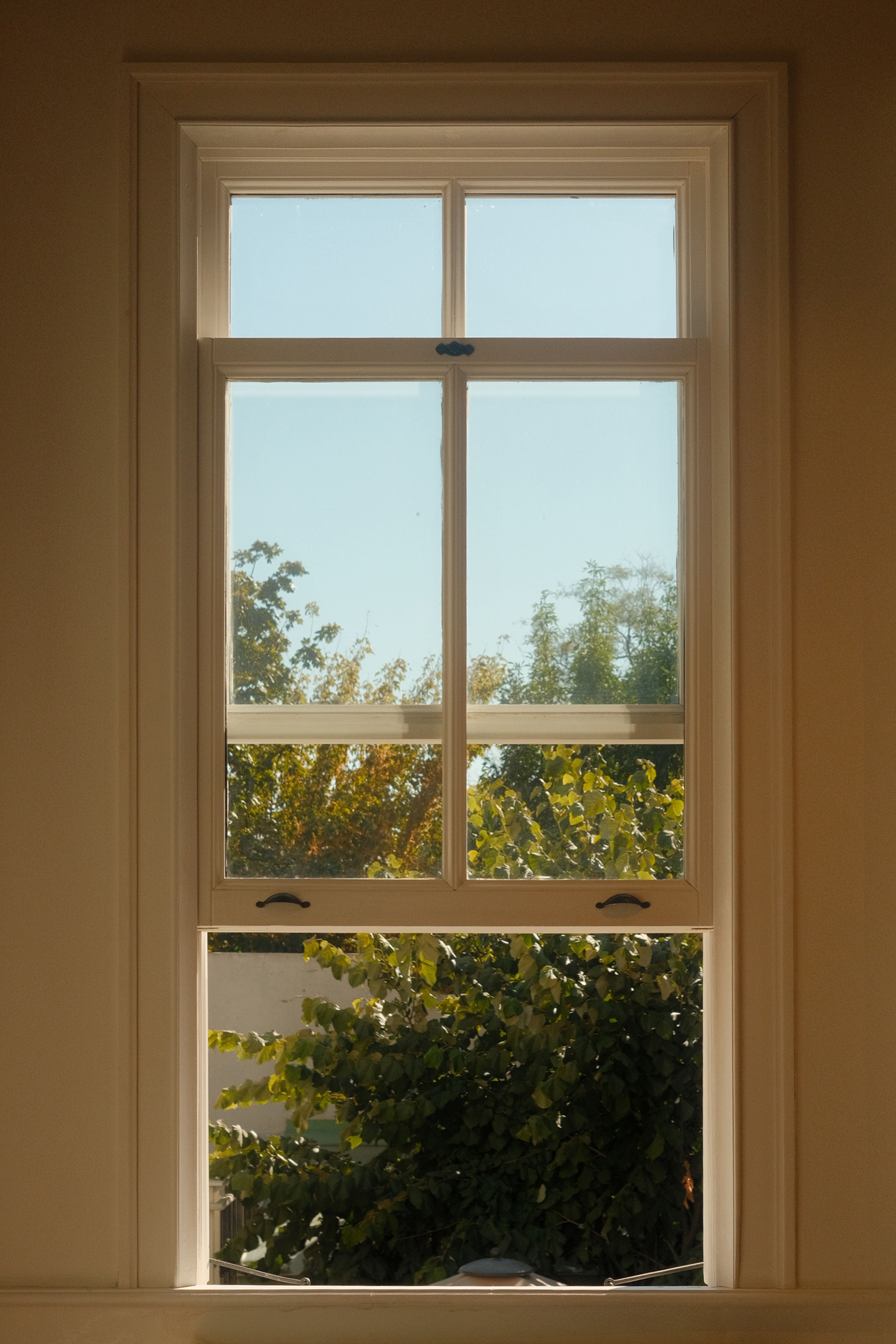 Window Frame Wive Photos, Download The BEST Free Window Frame Wive ...