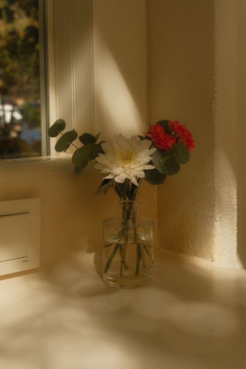 Free Elegant vase of flowers basking in warm golden hour light by a café window in İstanbul. Stock Photo