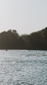 Aerial view of swimmers in a race on a sunny day in Chattanooga river with lush green backdrop.