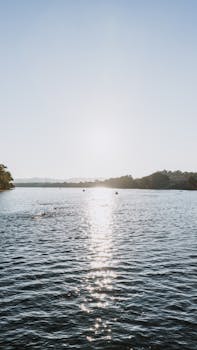 Aerial shot of swimmers in a river at sunrise in Chattanooga, Tennessee.