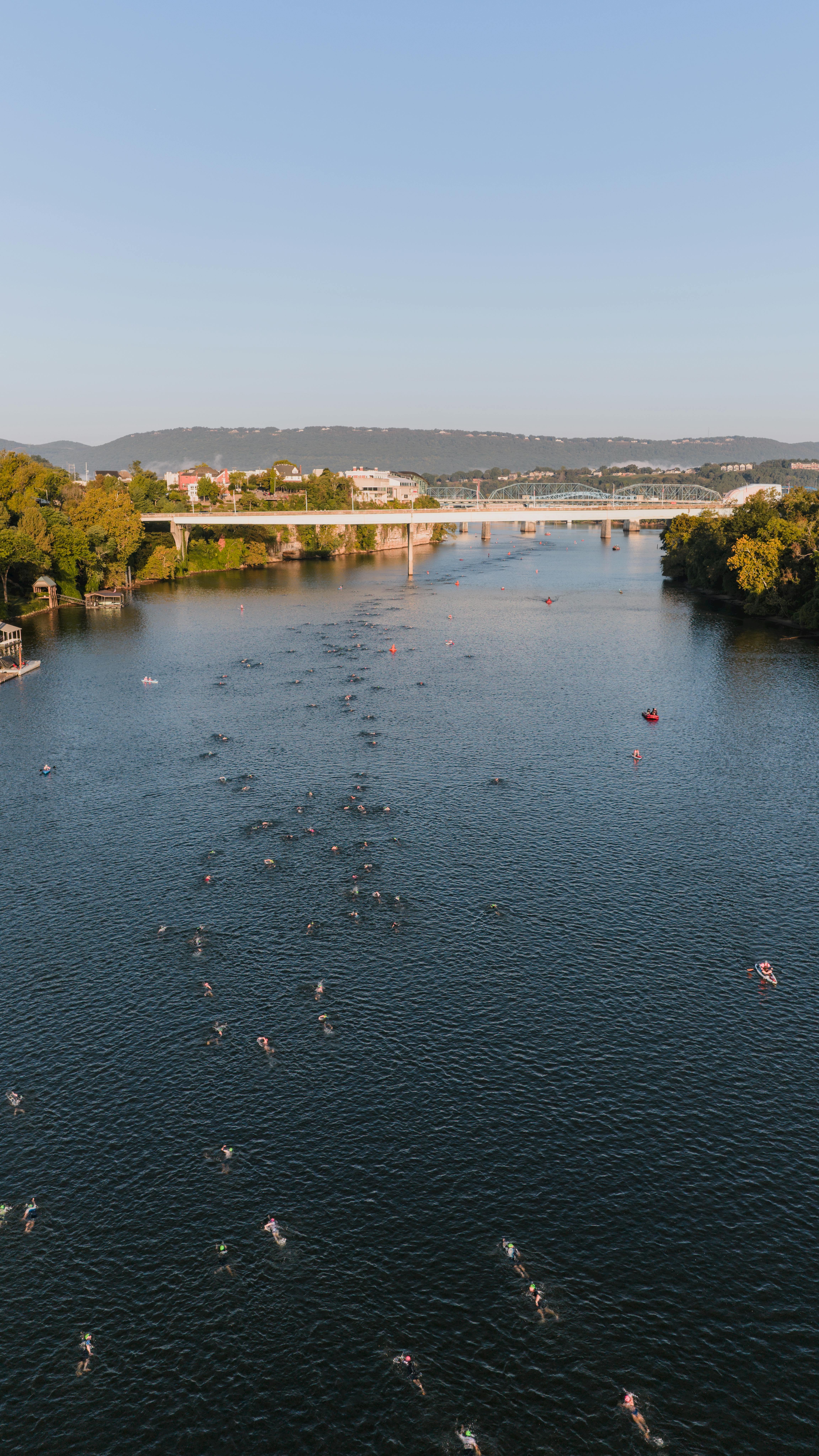 Aerial shot of swimmers during a race in the Tennessee River, Chattanooga.