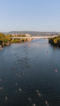 Aerial shot of swimmers during a race in the Tennessee River, Chattanooga.