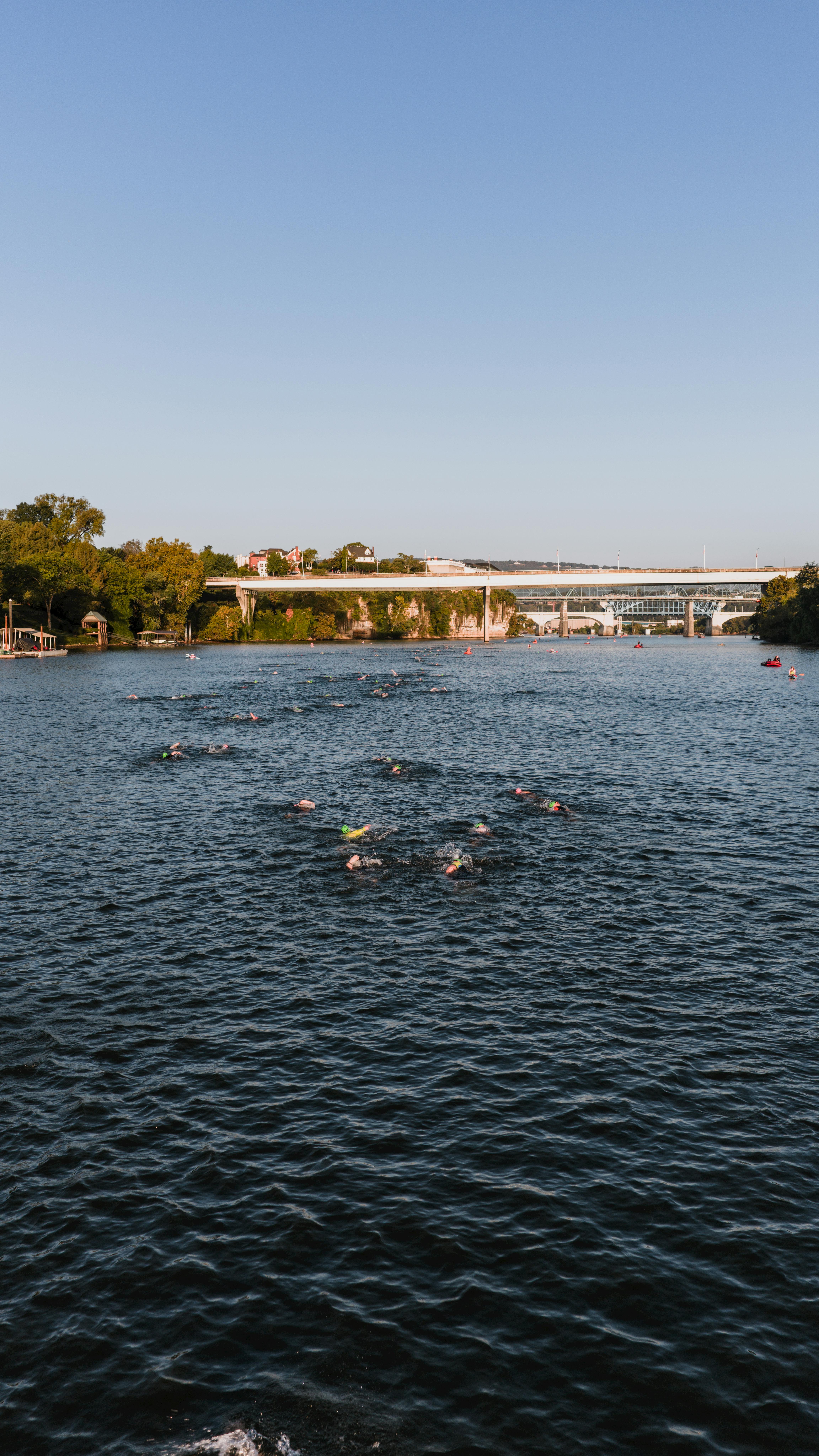 Gratis Predefinito Foto a disposizione