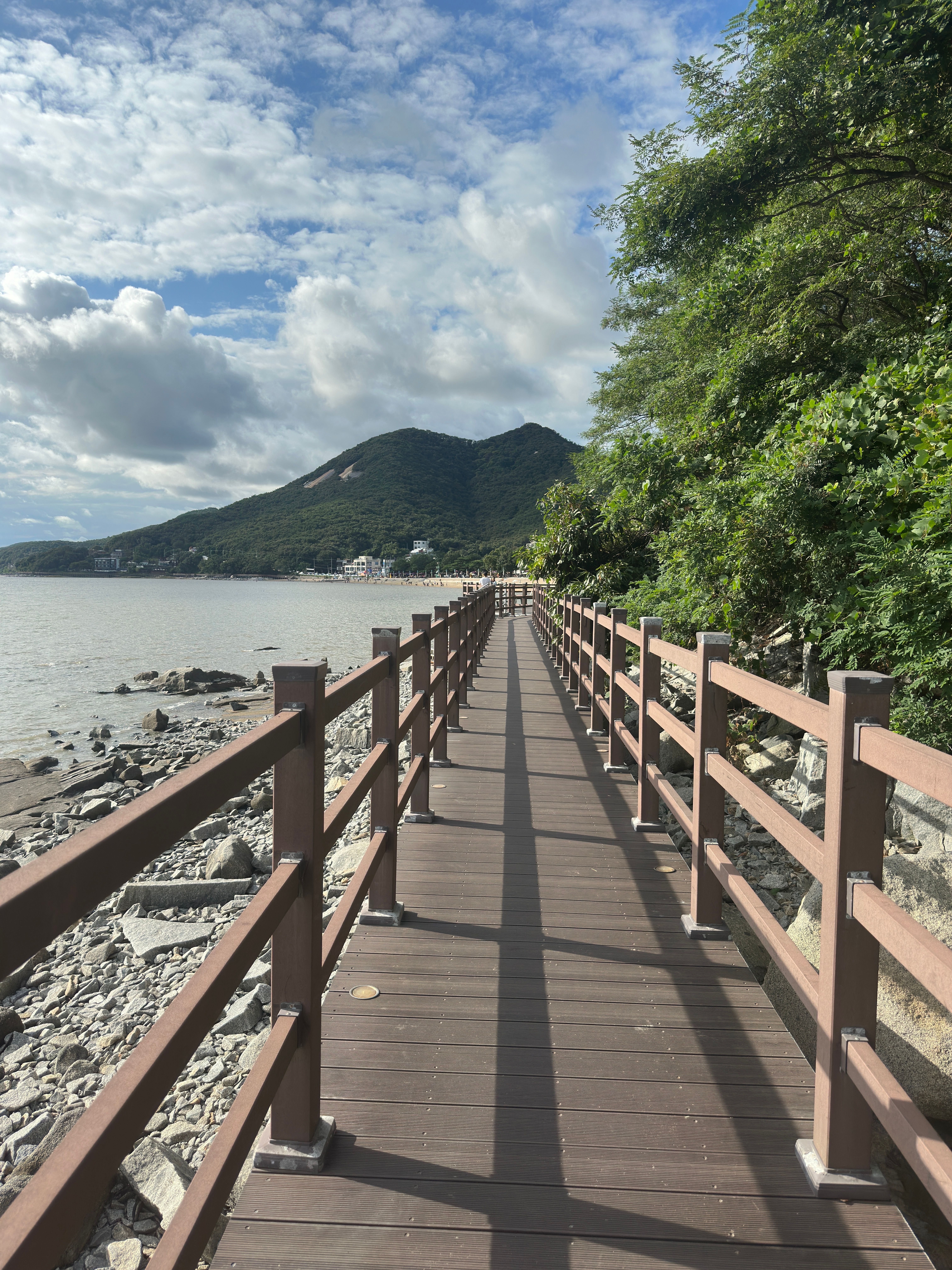 A serene wooden boardwalk along a rocky coastline with lush greenery and mountain views.