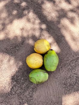 Coconut Water + Passion Fruit