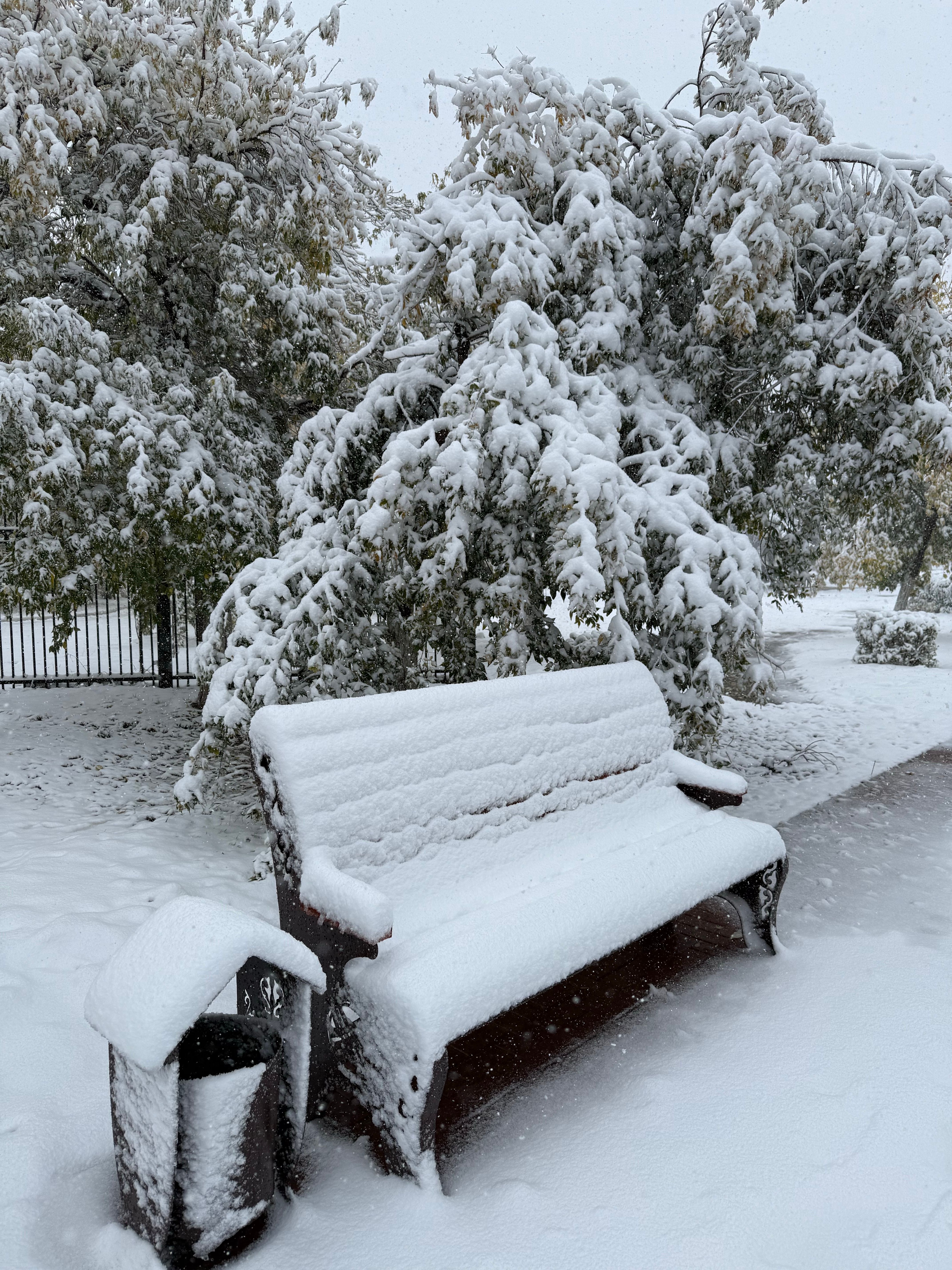 Snow-Covered Park Bench in Winter Landscape · Free Stock Photo
