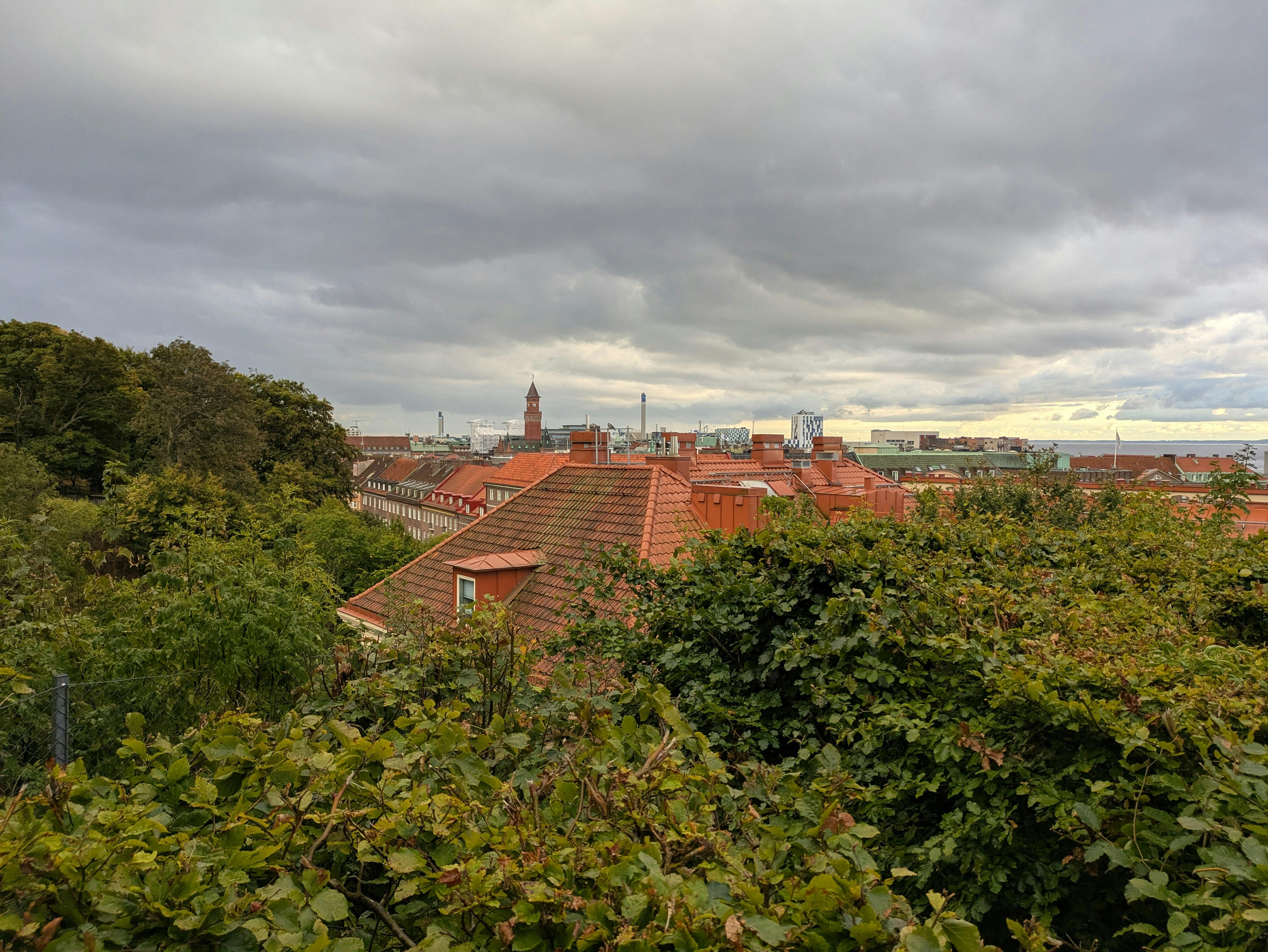 遠雄敦富攜手留白計畫 打造機捷生活圈城市花境新地標