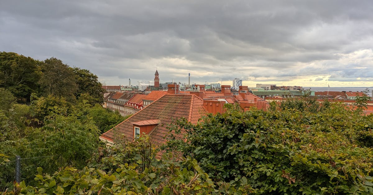 遠雄敦富攜手留白計畫 打造機捷生活圈城市花境新地標