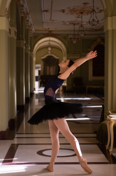 A graceful ballerina dancing in a beautifully ornate hallway, capturing elegance and poise.