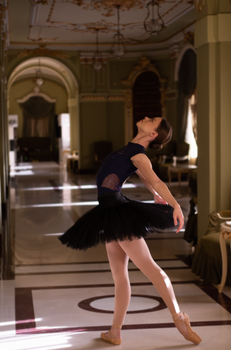 Graceful ballerina performing in a beautifully decorated hallway, showcasing elegance and poise.