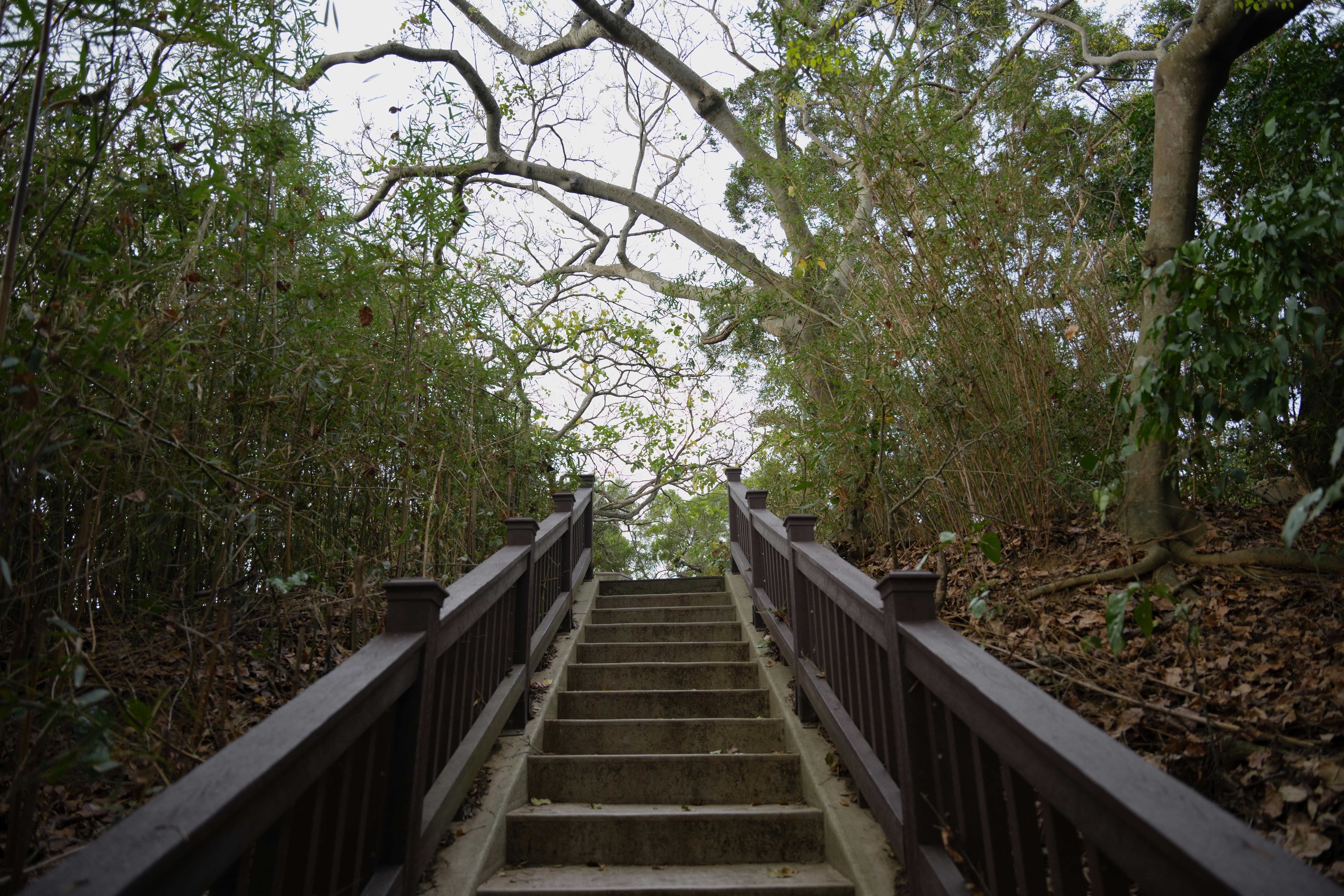 政治：「想想論壇」改版再出發 蔡英文號召共謀台灣未來