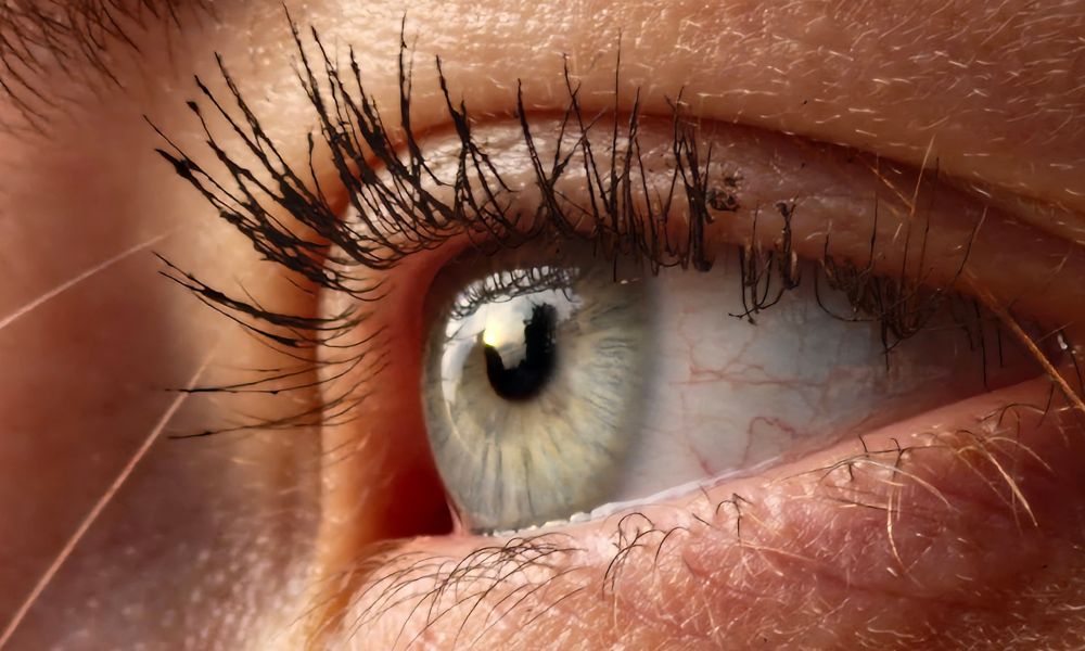 Macro view of healthy natural eyelashes