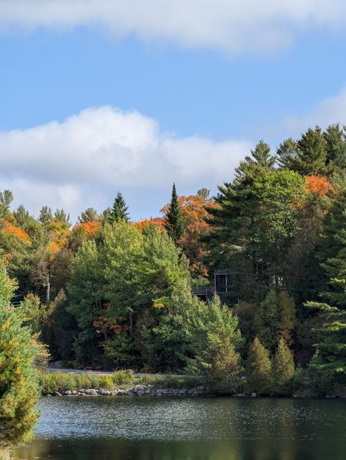 Free Peaceful lake view with vibrant autumn foliage and a secluded cabin in the forest. Stock Photo